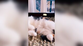 Sandyinlace (Sandy InLace) OnlyFans Leaks Quirky and Unconventionally Top OF Creator 226