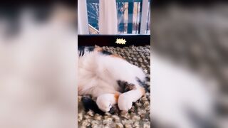 Sandyinlace (Sandy InLace) OnlyFans Leaks Quirky and Unconventionally Top OF Creator 226