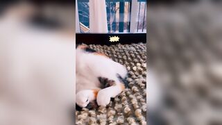 Sandyinlace (Sandy InLace) OnlyFans Leaks Quirky and Unconventionally Top OF Creator 226