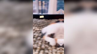 Sandyinlace (Sandy InLace) OnlyFans Leaks Quirky and Unconventionally Top OF Creator 226