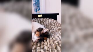 Sandyinlace (Sandy InLace) OnlyFans Leaks Quirky and Unconventionally Top OF Creator 226