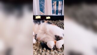 Sandyinlace (Sandy InLace) OnlyFans Leaks Quirky and Unconventionally Top OF Creator 226