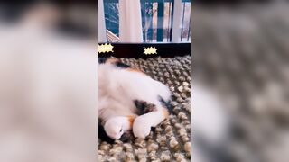 Sandyinlace (Sandy InLace) OnlyFans Leaks Quirky and Unconventionally Top OF Creator 226