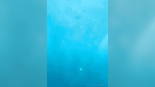 Sandyinlace (Sandy InLace) OnlyFans Leaks Quirky and Unconventionally Top OF Creator 132