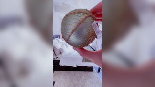 Sandyinlace (Sandy InLace) OnlyFans Leaks Quirky and Unconventionally Top OF Creator 249