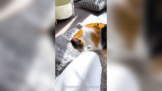 Sandyinlace (Sandy InLace) OnlyFans Leaks Quirky and Unconventionally Top OF Creator 151