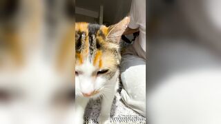 Sandyinlace (Sandy InLace) OnlyFans Leaks Quirky and Unconventionally Top OF Creator 151