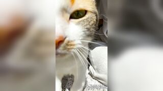 Sandyinlace (Sandy InLace) OnlyFans Leaks Quirky and Unconventionally Top OF Creator 151