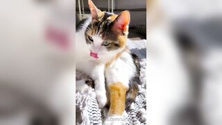 Sandyinlace (Sandy InLace) OnlyFans Leaks Quirky and Unconventionally Top OF Creator 151