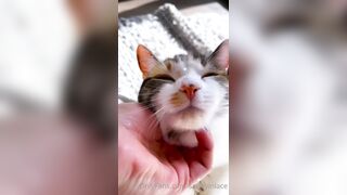 Sandyinlace (Sandy InLace) OnlyFans Leaks Quirky and Unconventionally Top OF Creator 151