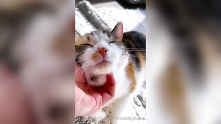 Sandyinlace (Sandy InLace) OnlyFans Leaks Quirky and Unconventionally Top OF Creator 151