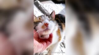 Sandyinlace (Sandy InLace) OnlyFans Leaks Quirky and Unconventionally Top OF Creator 151