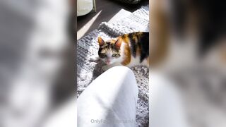 Sandyinlace (Sandy InLace) OnlyFans Leaks Quirky and Unconventionally Top OF Creator 151