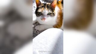 Sandyinlace (Sandy InLace) OnlyFans Leaks Quirky and Unconventionally Top OF Creator 151