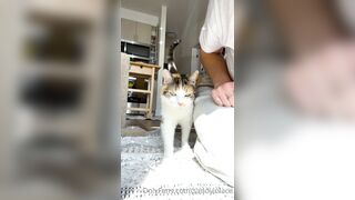 Sandyinlace (Sandy InLace) OnlyFans Leaks Quirky and Unconventionally Top OF Creator 151