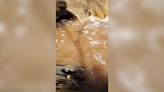 Ryleerabbit (rylee rabbit) OnlyFans Leaks Raye SoCal PAWG 107