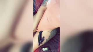 Exoticaxxx (Slim Exotica) OnlyFans Leaks Ready to Drain your Balls Babe 232