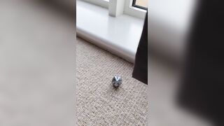 Harley Quinn double (realsindyday) OnlyFans Leaks Sindy Day 176