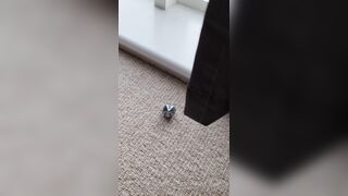 Harley Quinn double (realsindyday) OnlyFans Leaks Sindy Day 176