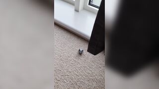 Harley Quinn double (realsindyday) OnlyFans Leaks Sindy Day 176