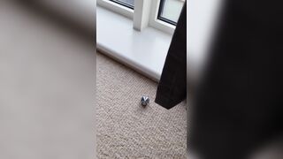 Harley Quinn double (realsindyday) OnlyFans Leaks Sindy Day 176