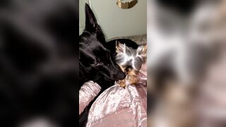 Nicollesnow (Nicolle Snow) OnlyFans Leaks Certified Sweetheart is a SQUIRT QUEEN 329