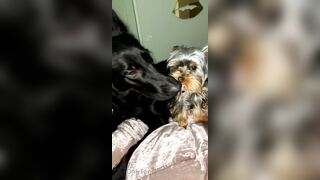 Nicollesnow (Nicolle Snow) OnlyFans Leaks Certified Sweetheart is a SQUIRT QUEEN 329