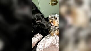 Nicollesnow (Nicolle Snow) OnlyFans Leaks Certified Sweetheart is a SQUIRT QUEEN 329