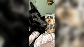 Nicollesnow (Nicolle Snow) OnlyFans Leaks Certified Sweetheart is a SQUIRT QUEEN 329