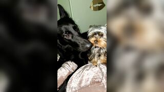 Nicollesnow (Nicolle Snow) OnlyFans Leaks Certified Sweetheart is a SQUIRT QUEEN 329