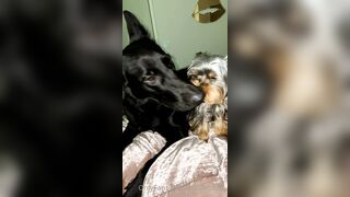 Nicollesnow (Nicolle Snow) OnlyFans Leaks Certified Sweetheart is a SQUIRT QUEEN 329