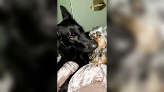 Nicollesnow (Nicolle Snow) OnlyFans Leaks Certified Sweetheart is a SQUIRT QUEEN 329