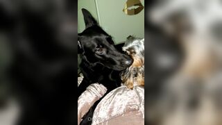 Nicollesnow (Nicolle Snow) OnlyFans Leaks Certified Sweetheart is a SQUIRT QUEEN 329