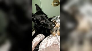 Nicollesnow (Nicolle Snow) OnlyFans Leaks Certified Sweetheart is a SQUIRT QUEEN 329