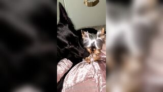 Nicollesnow (Nicolle Snow) OnlyFans Leaks Certified Sweetheart is a SQUIRT QUEEN 329