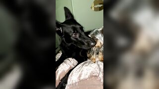 Nicollesnow (Nicolle Snow) OnlyFans Leaks Certified Sweetheart is a SQUIRT QUEEN 329