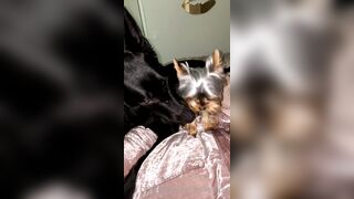 Nicollesnow (Nicolle Snow) OnlyFans Leaks Certified Sweetheart is a SQUIRT QUEEN 329