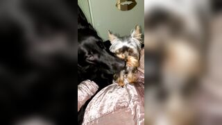 Nicollesnow (Nicolle Snow) OnlyFans Leaks Certified Sweetheart is a SQUIRT QUEEN 329