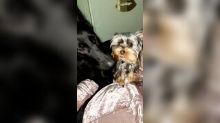 Nicollesnow (Nicolle Snow) OnlyFans Leaks Certified Sweetheart is a SQUIRT QUEEN 329