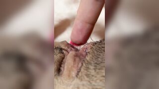 The Bite Sized Asian (thebitesizedb) OnlyFans Leak Slim Small Boobs Chinese Girl 14