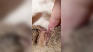 The Bite Sized Asian (thebitesizedb) OnlyFans Leak Slim Small Boobs Chinese Girl 14