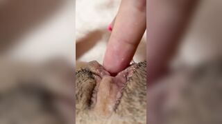 The Bite Sized Asian (thebitesizedb) OnlyFans Leak Slim Small Boobs Chinese Girl 14