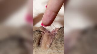 The Bite Sized Asian (thebitesizedb) OnlyFans Leak Slim Small Boobs Chinese Girl 14