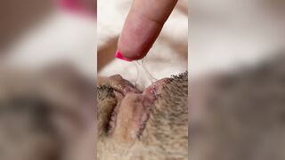 The Bite Sized Asian (thebitesizedb) OnlyFans Leak Slim Small Boobs Chinese Girl 14