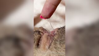 The Bite Sized Asian (thebitesizedb) OnlyFans Leak Slim Small Boobs Chinese Girl 14