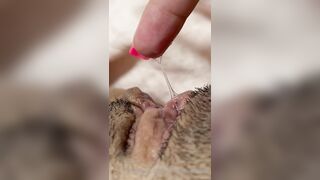 The Bite Sized Asian (thebitesizedb) OnlyFans Leak Slim Small Boobs Chinese Girl 14