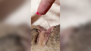 The Bite Sized Asian (thebitesizedb) OnlyFans Leak Slim Small Boobs Chinese Girl 14