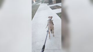 Sara Ames (thesaraames) OnlyFans Leaks Sexy Lovely Neighbour Girl 59