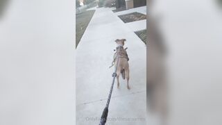 Sara Ames (thesaraames) OnlyFans Leaks Sexy Lovely Neighbour Girl 59