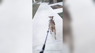 Sara Ames (thesaraames) OnlyFans Leaks Sexy Lovely Neighbour Girl 59